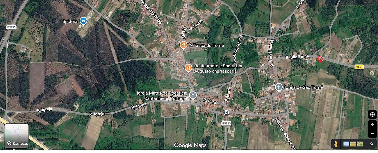 Terreno - Cantanhede e Pocariça, Cantanhede, Coimbra