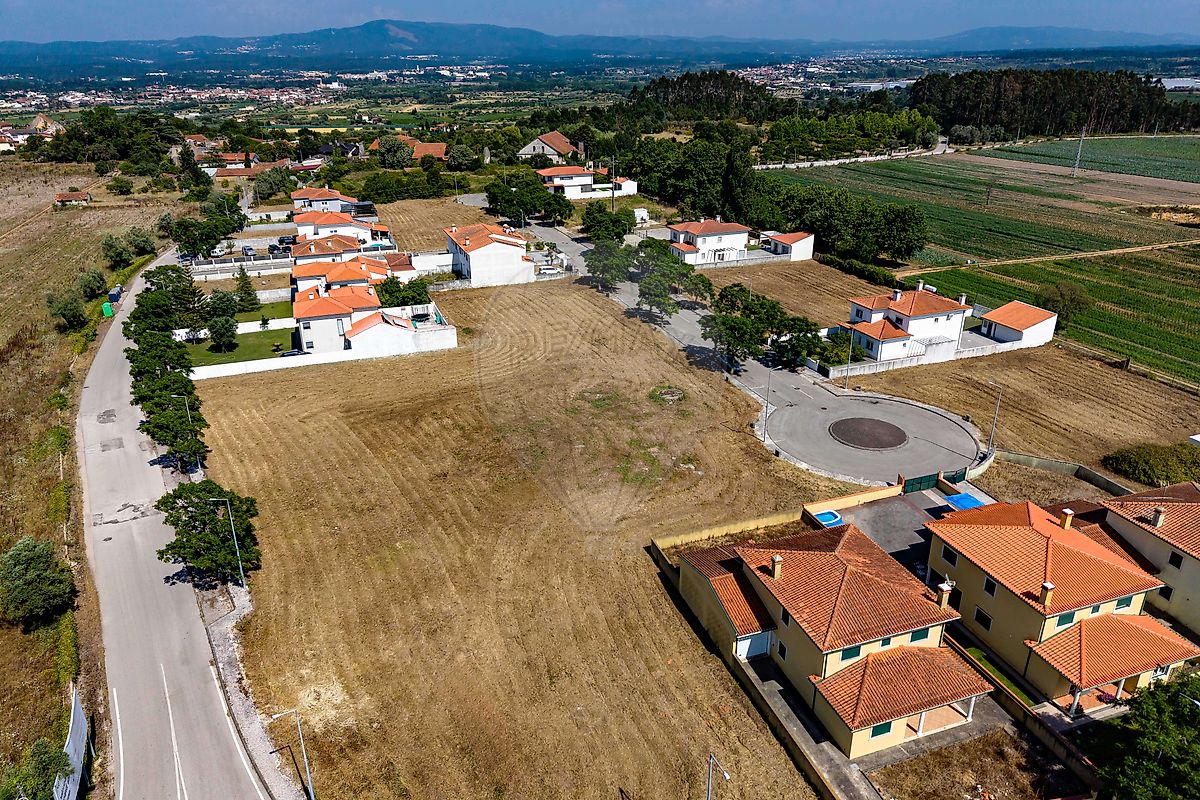 Terreno - Sepins e Bolho, Cantanhede, Coimbra
