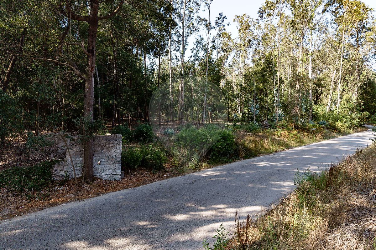 Apartamento à venda em Mira