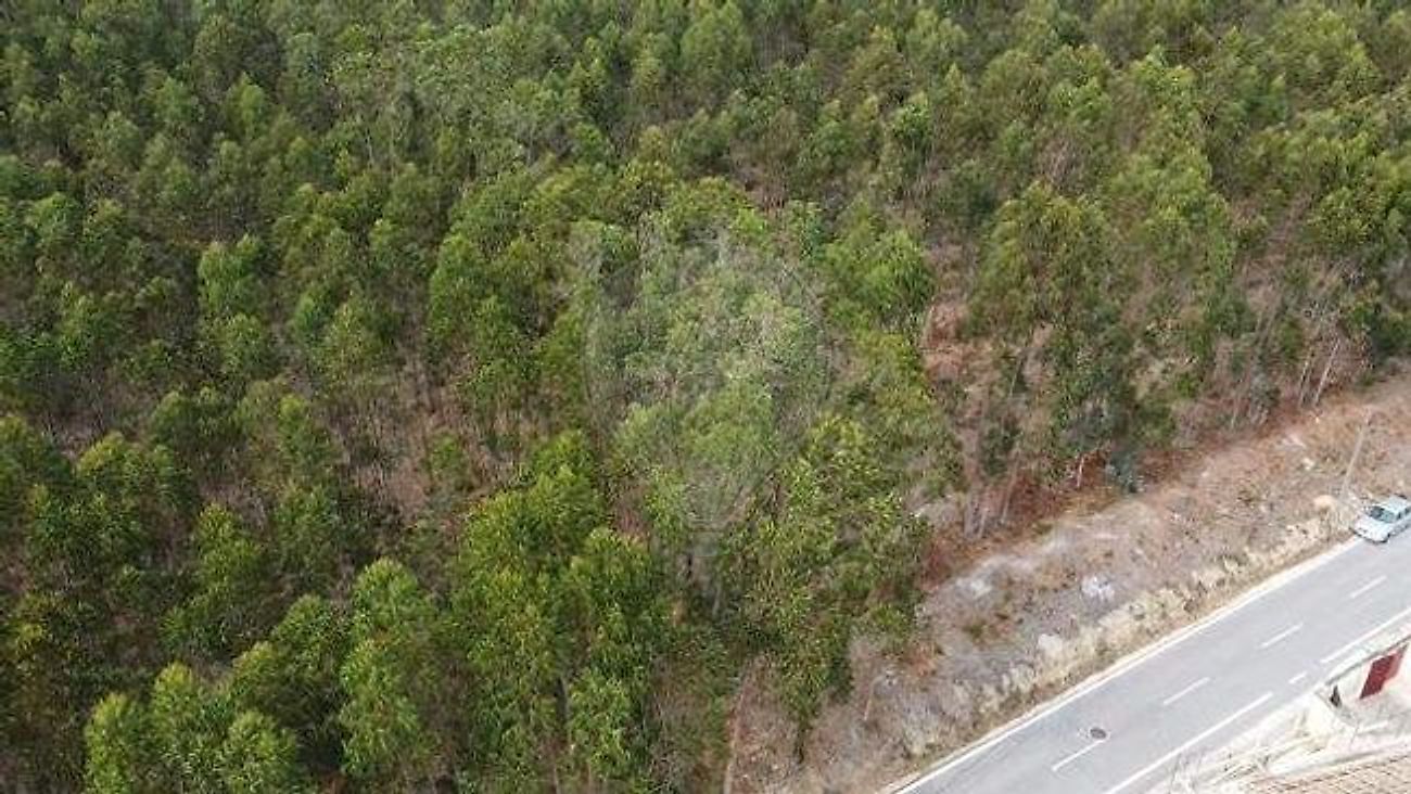 Terreno à venda em Figueira da Foz