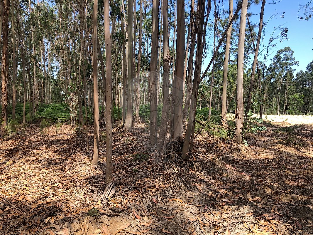Terreno à venda em Figueira da Foz