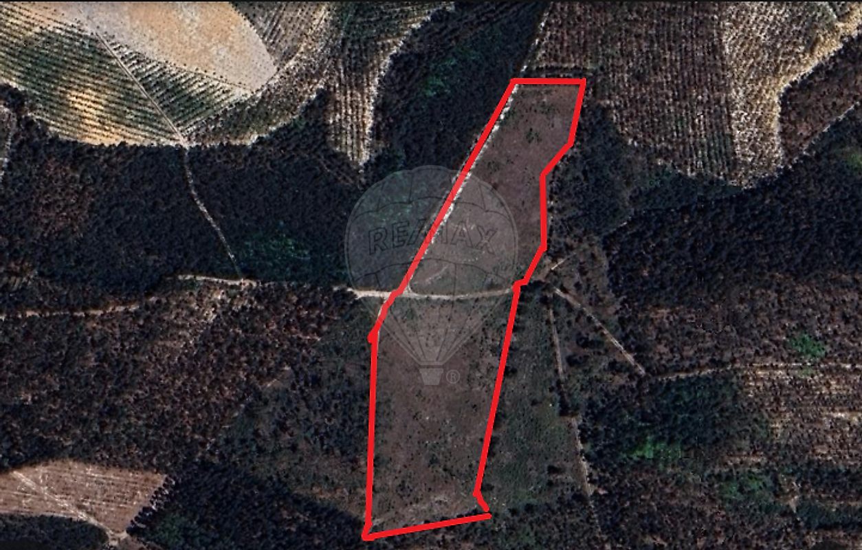 Terreno à venda em Pombal