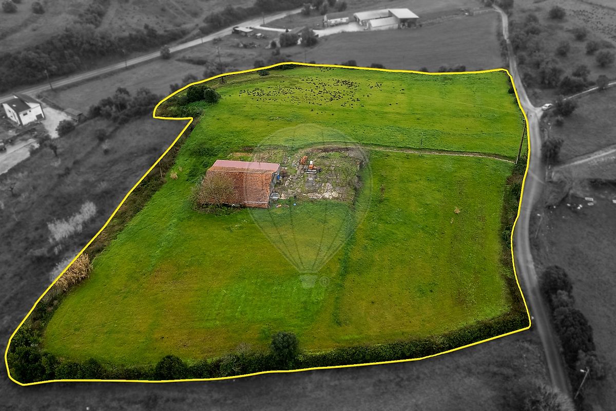 Terreno - Abrunheira, Verride e Vila Nova da Barca, Montemor-o-Velho, Coimbra