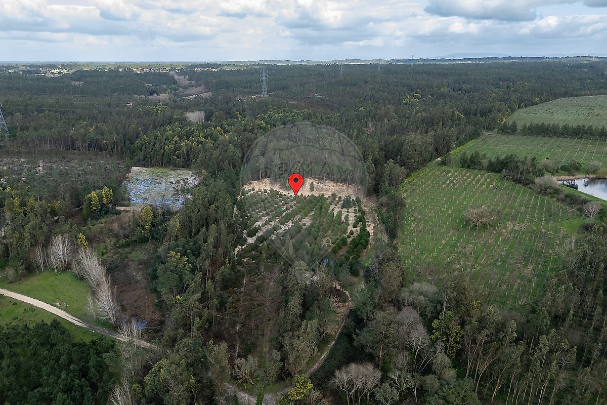 Terreno à venda em Montemor-o-Velho