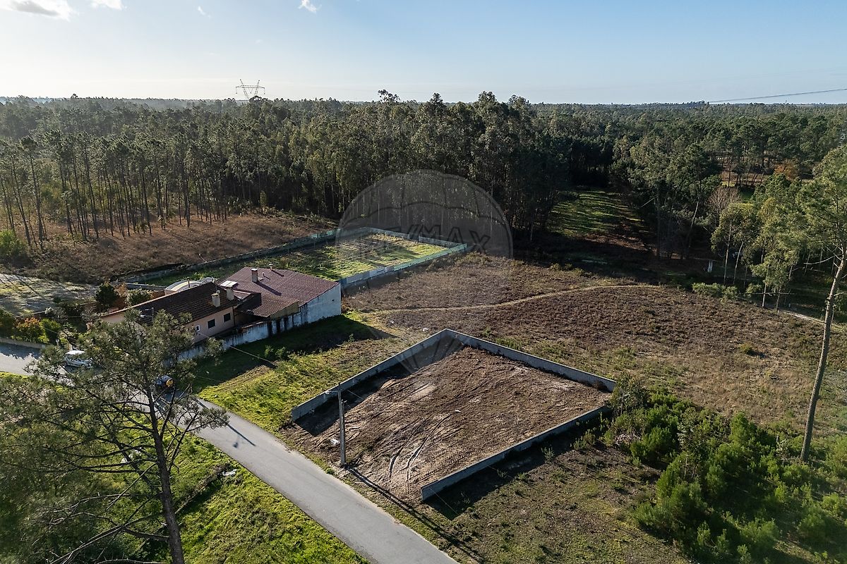 Terreno - Sanguinheira, Cantanhede, Coimbra