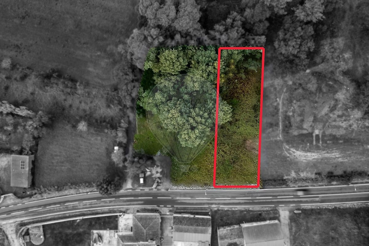 Terreno - Liceia, Montemor-o-Velho, Coimbra