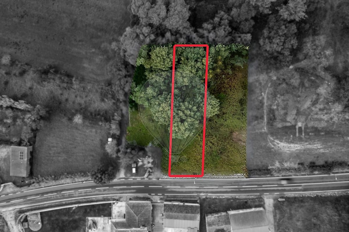 Terreno - Liceia, Montemor-o-Velho, Coimbra