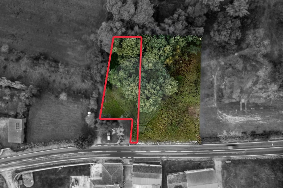 Terreno - Liceia, Montemor-o-Velho, Coimbra