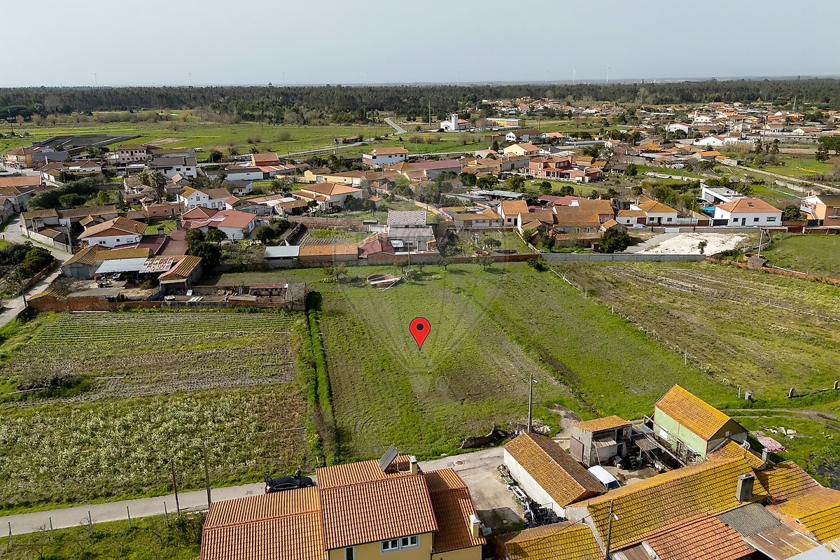 Terreno - Tocha, Cantanhede, Coimbra