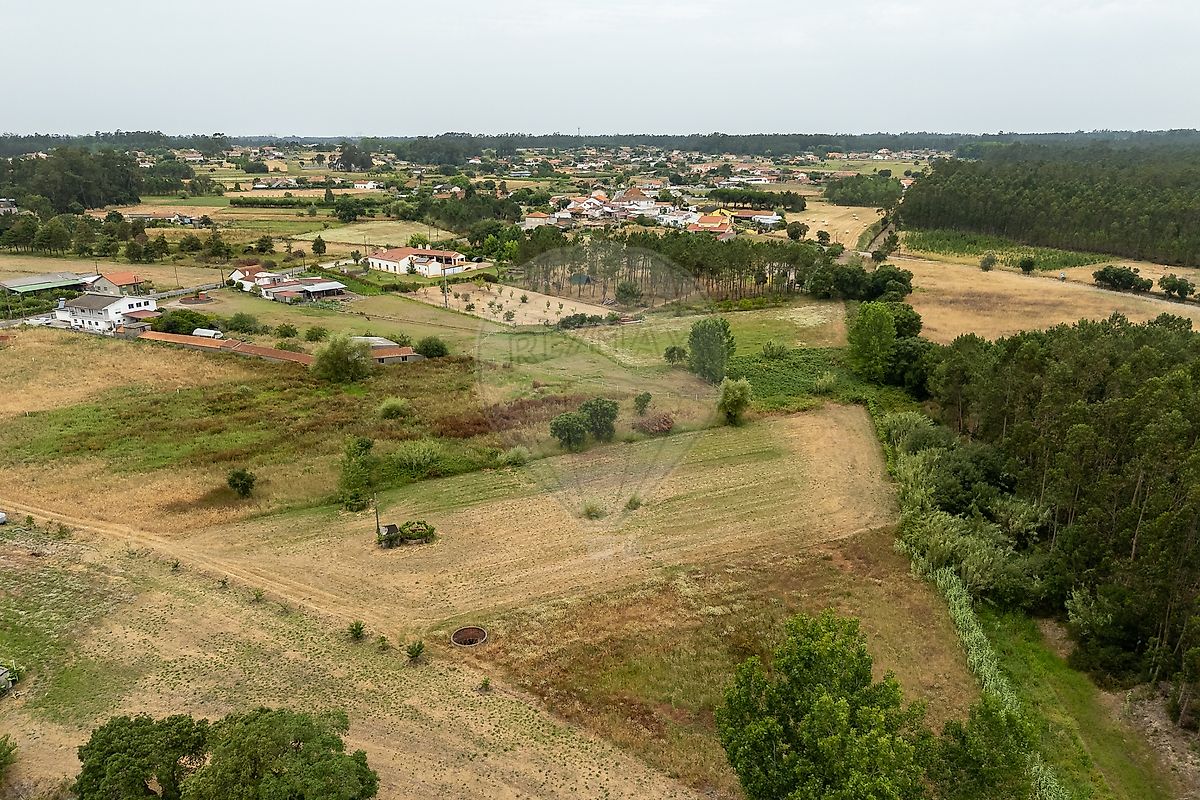 Terreno - Liceia, Montemor-o-Velho, Coimbra