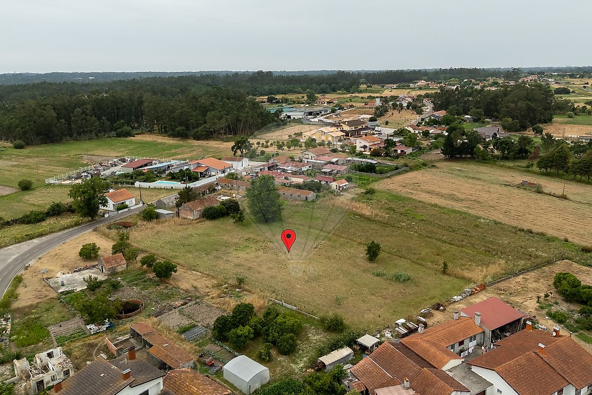 Moradia T1 à venda em Liceia, Montemor-o-Velho — foto 6