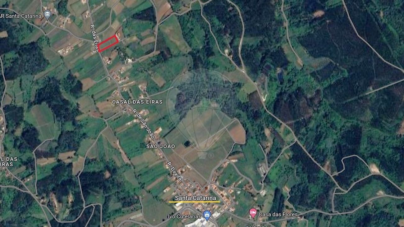 listing-picture-0