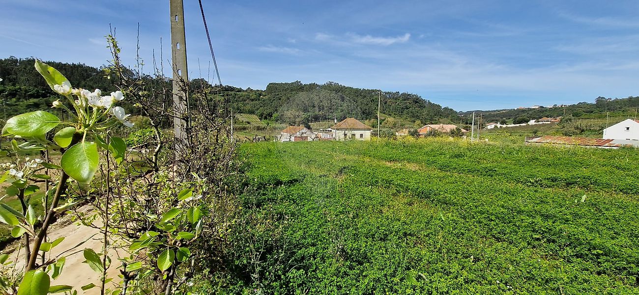 listing-picture-0