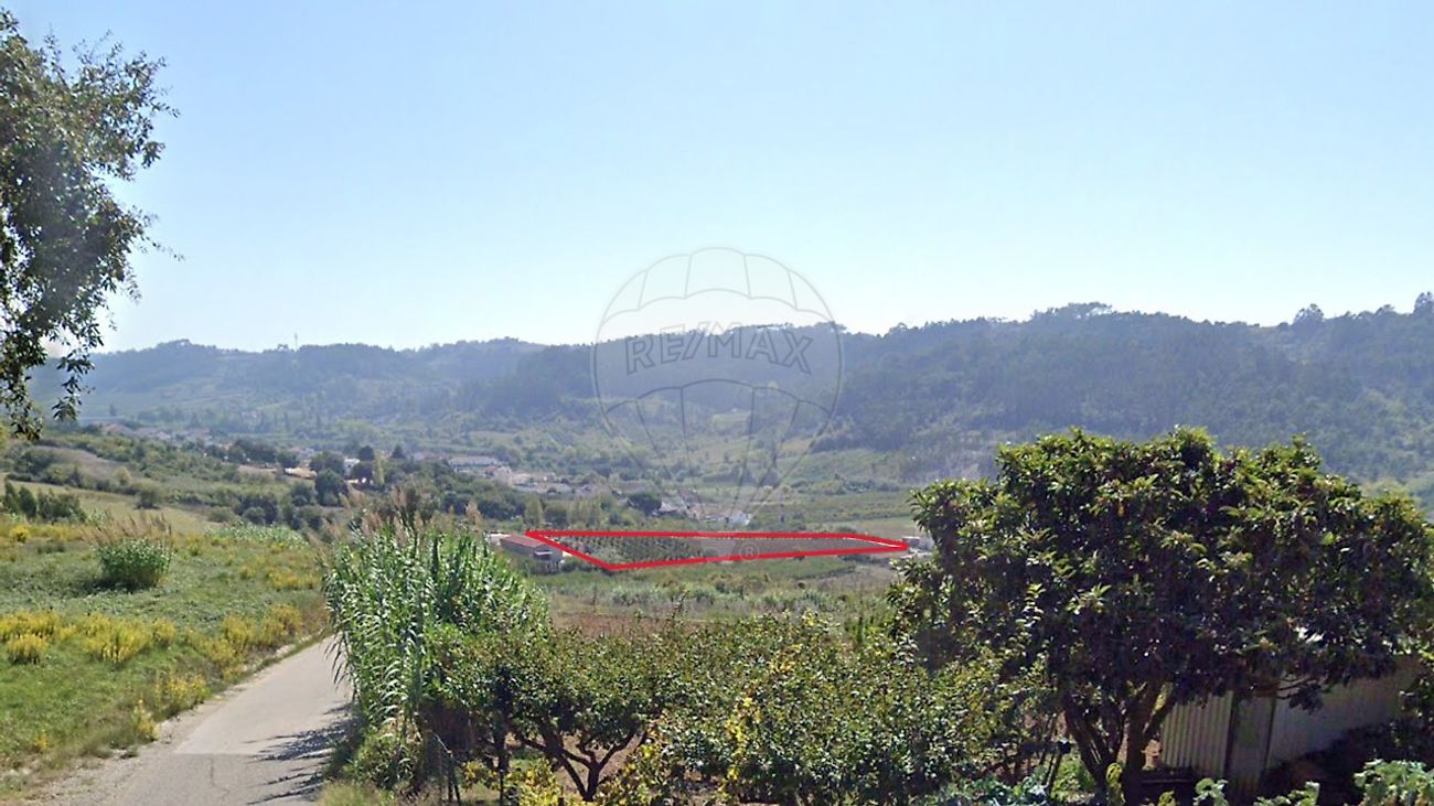 listing-picture-0