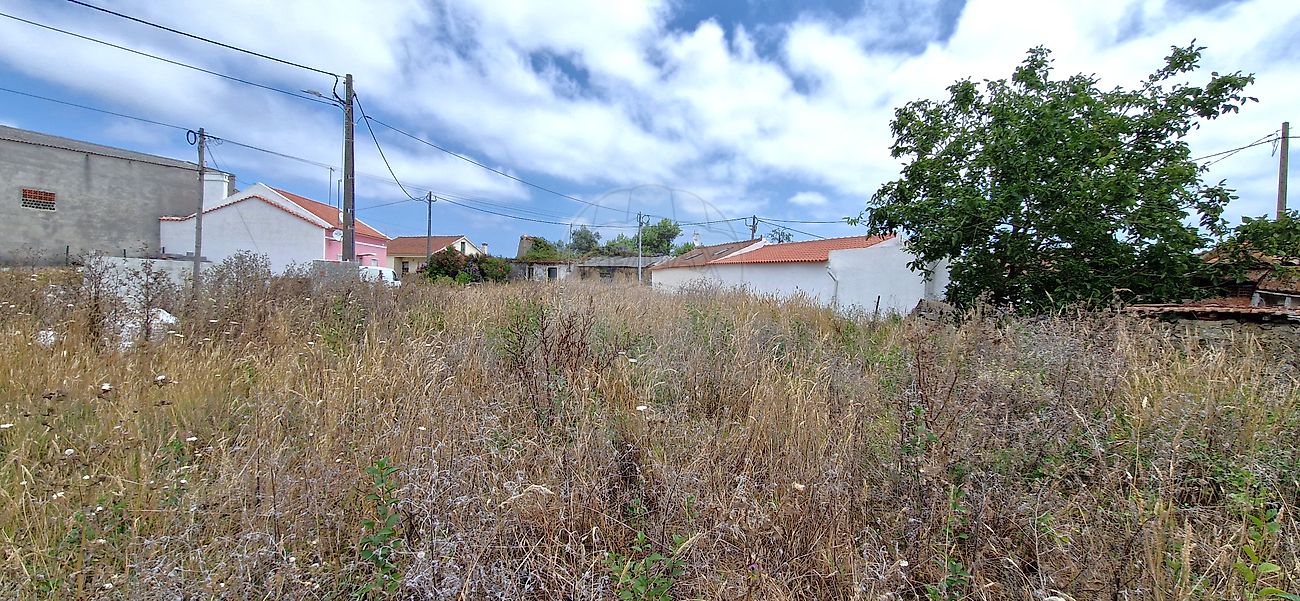listing 126151001-22 picture-0