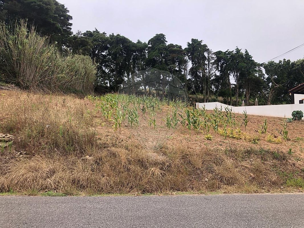 Terreno - A dos Negros, Óbidos, Leiria