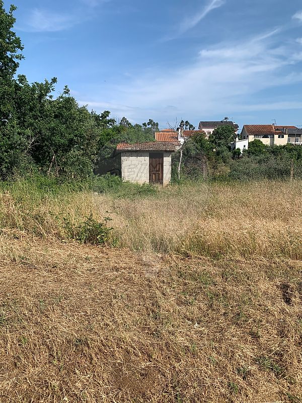 Terreno  à venda em Oliveira do Hospital