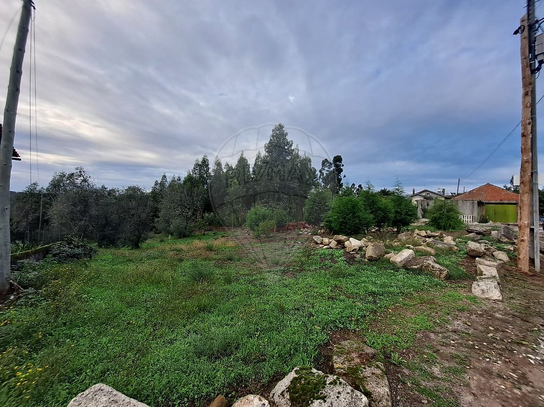 Terreno  à venda em Oliveira do Hospital