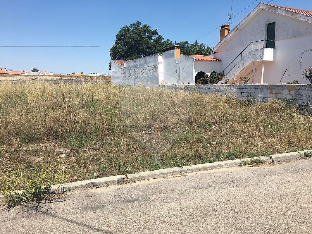 Terreno em Ponte de Sor