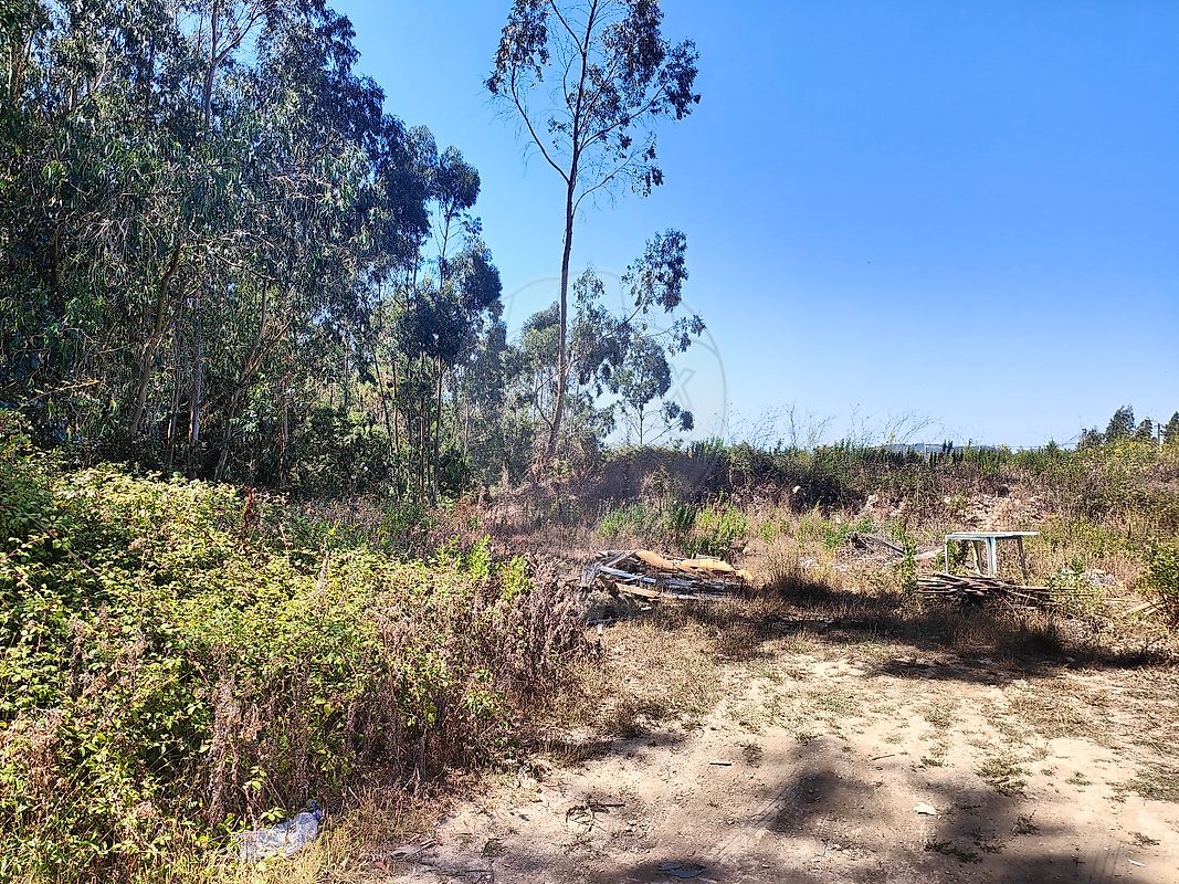 Terreno à venda em Sintra