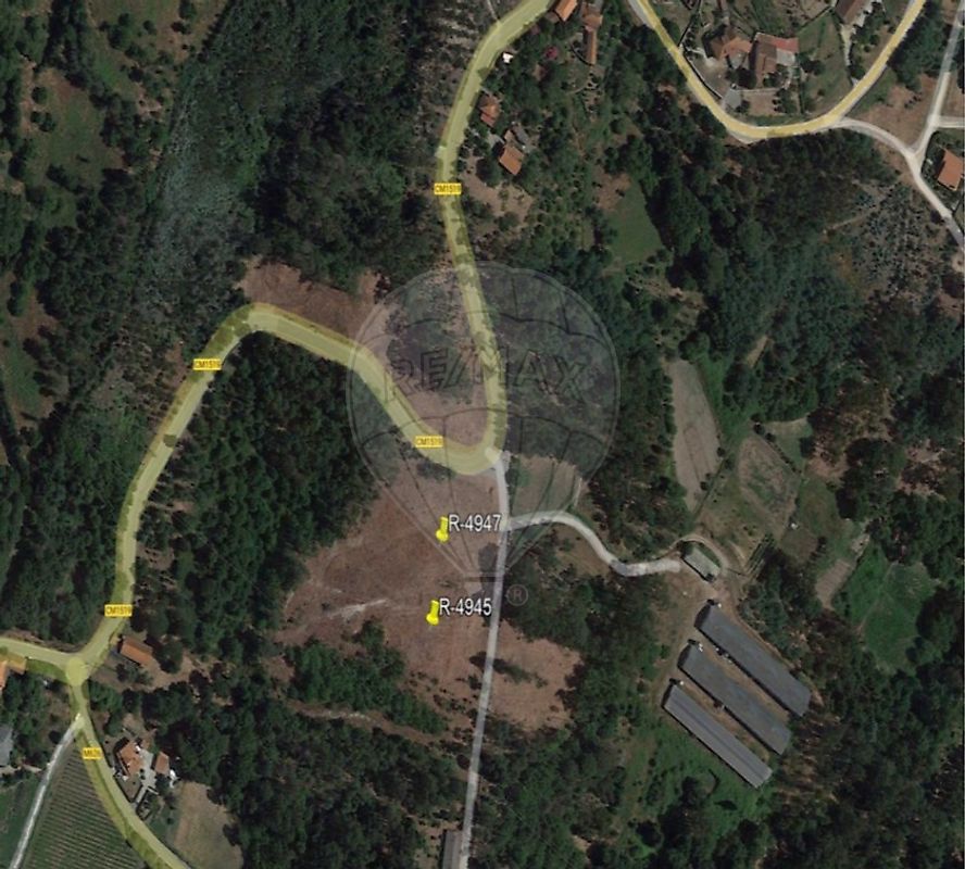 Terreno - Campo de Besteiros, Tondela, Viseu