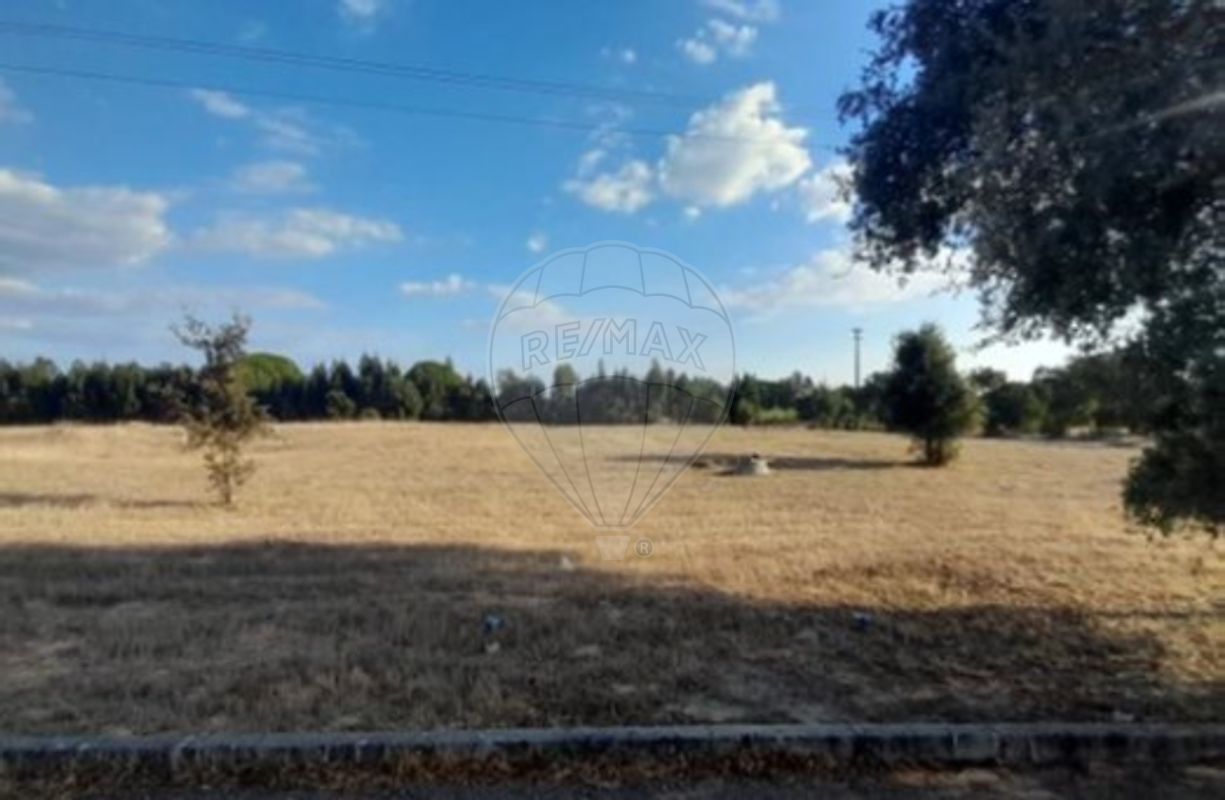 Terreno - Palmela, Palmela, Setúbal