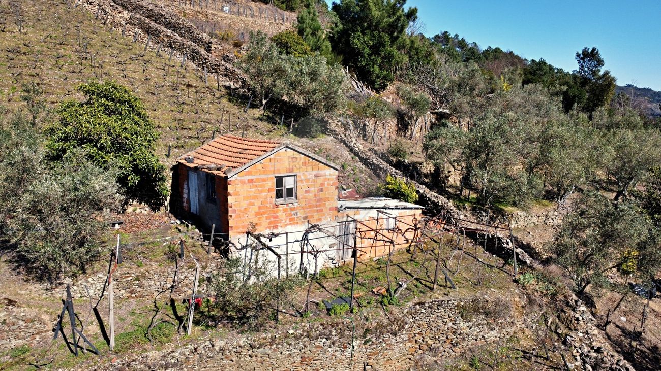 Quinta  para venda