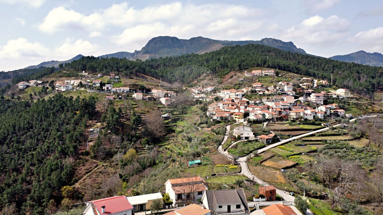 Terreno  para venda