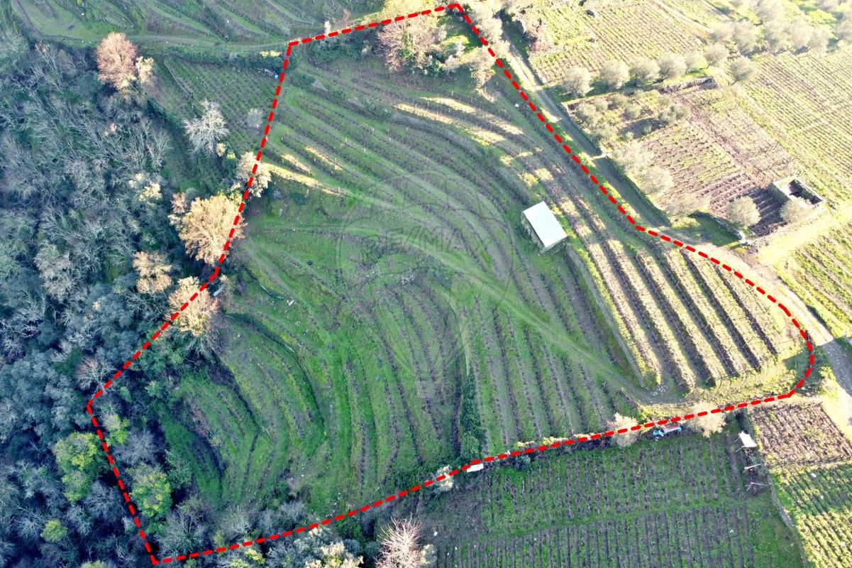 Terreno para venda