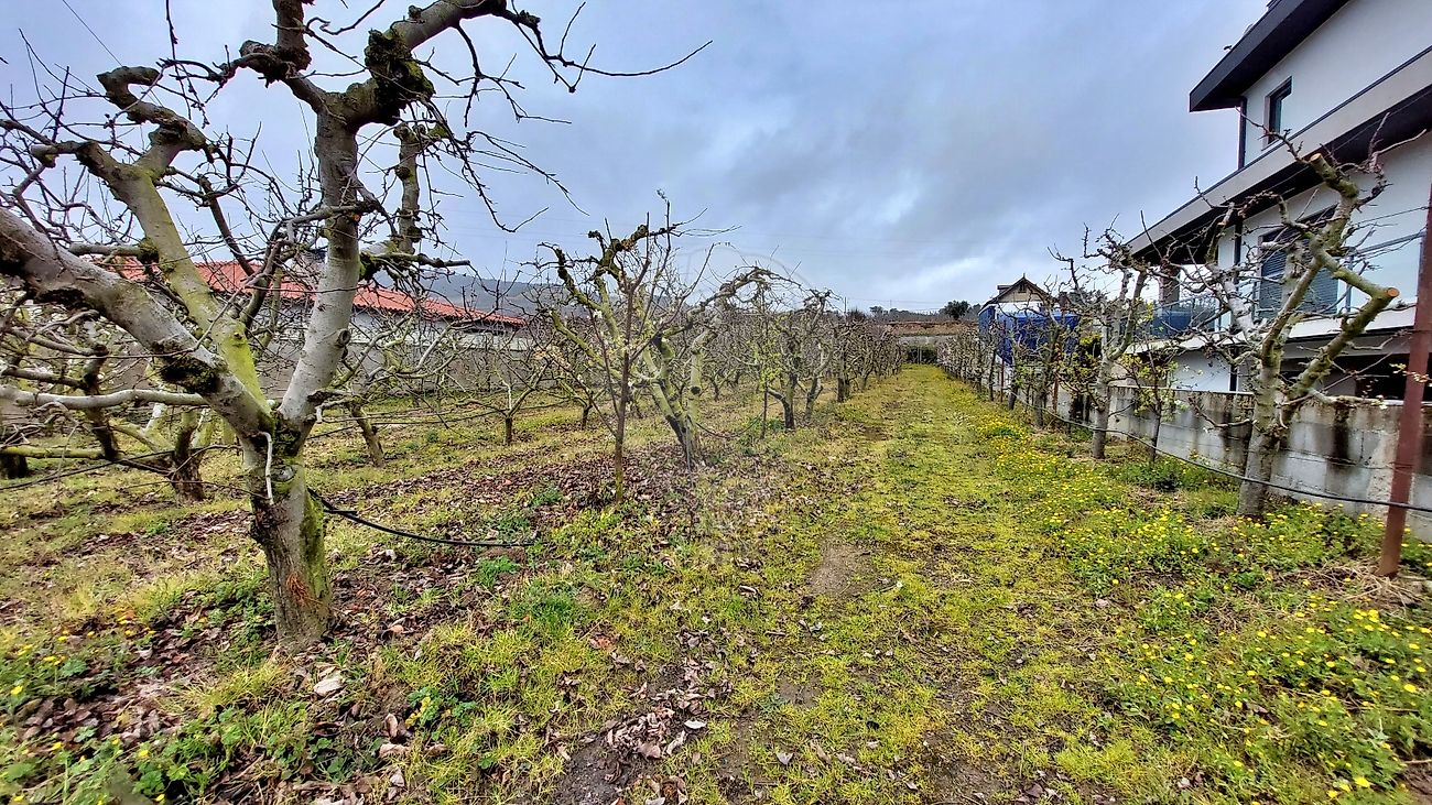 listing 126191003-58 picture-0