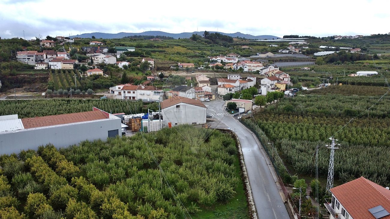 listing 126191003-58 picture-0