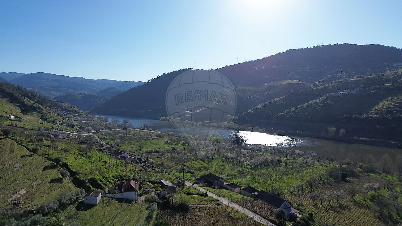 Terreno - Penajóia, Lamego, Viseu