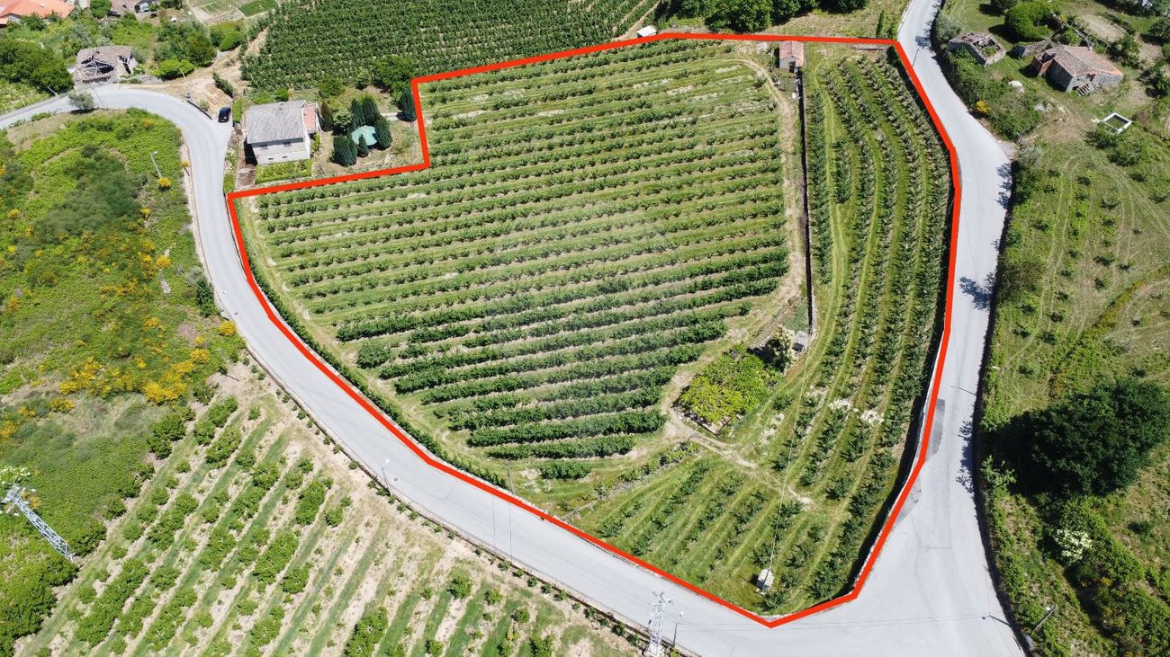 Terreno para venda