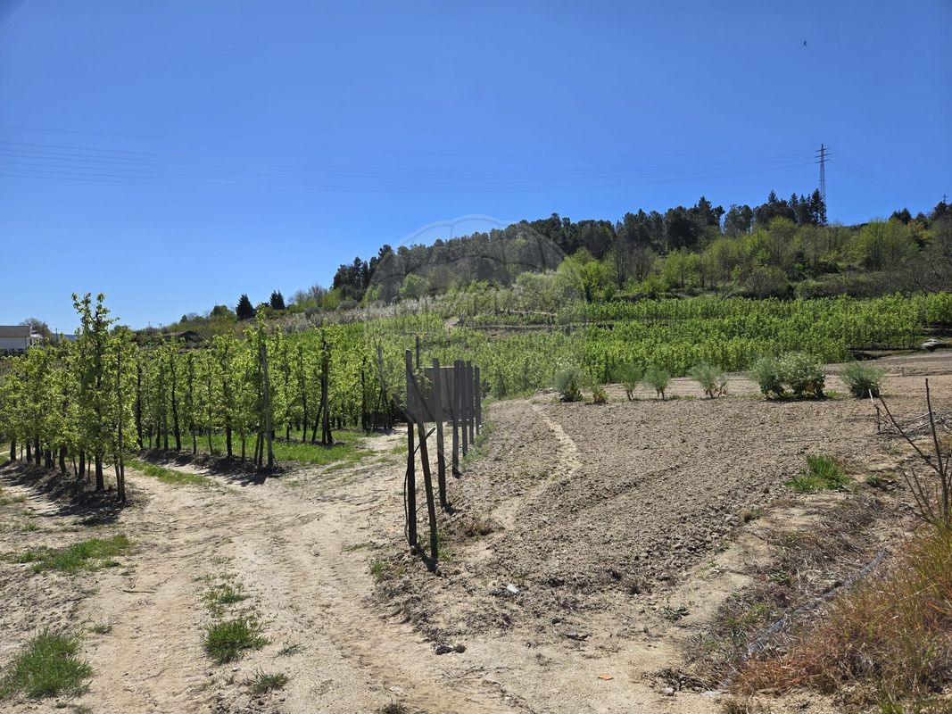 Terreno para venda