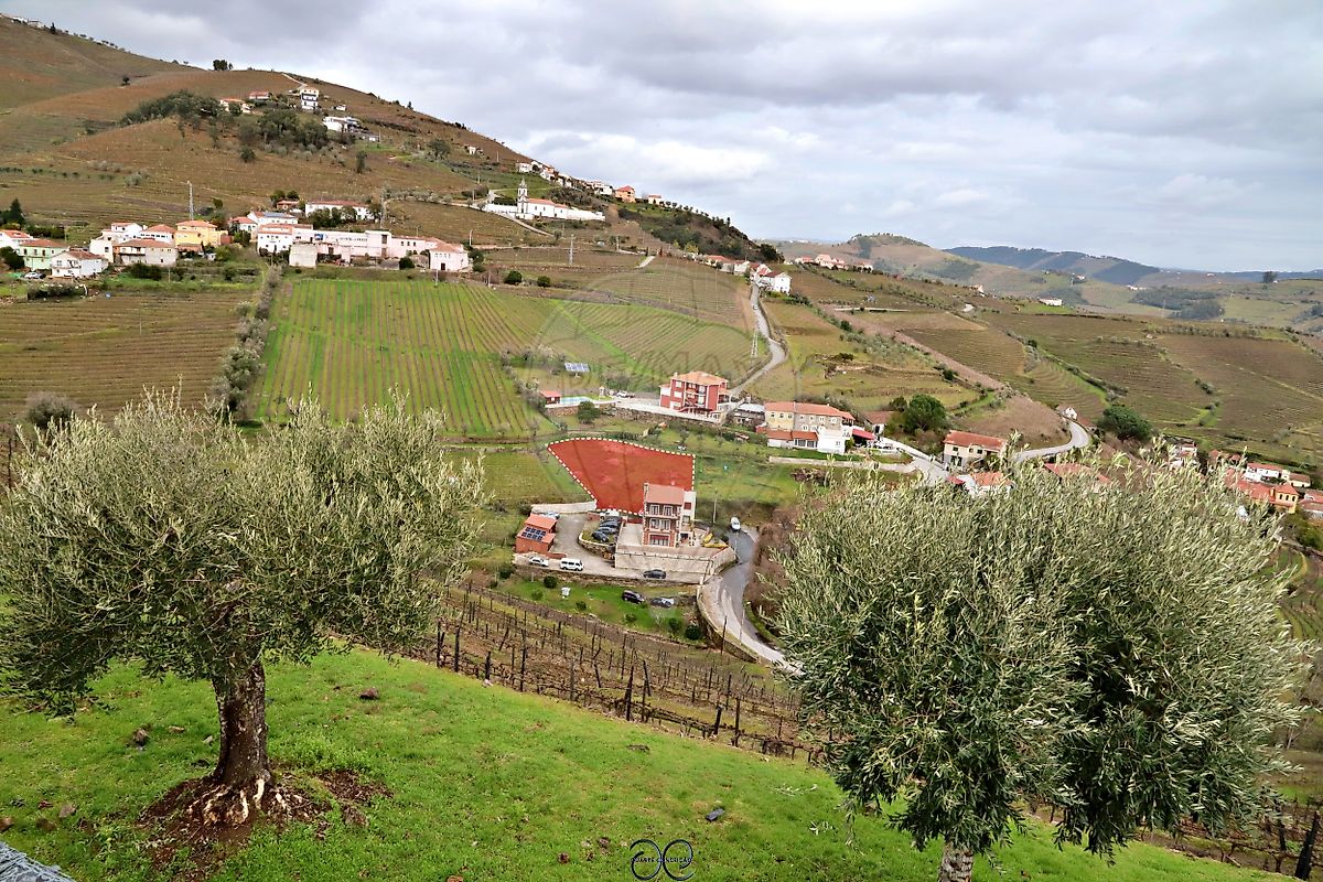 Terreno - Sever, Santa Marta de Penaguião, Vila Real