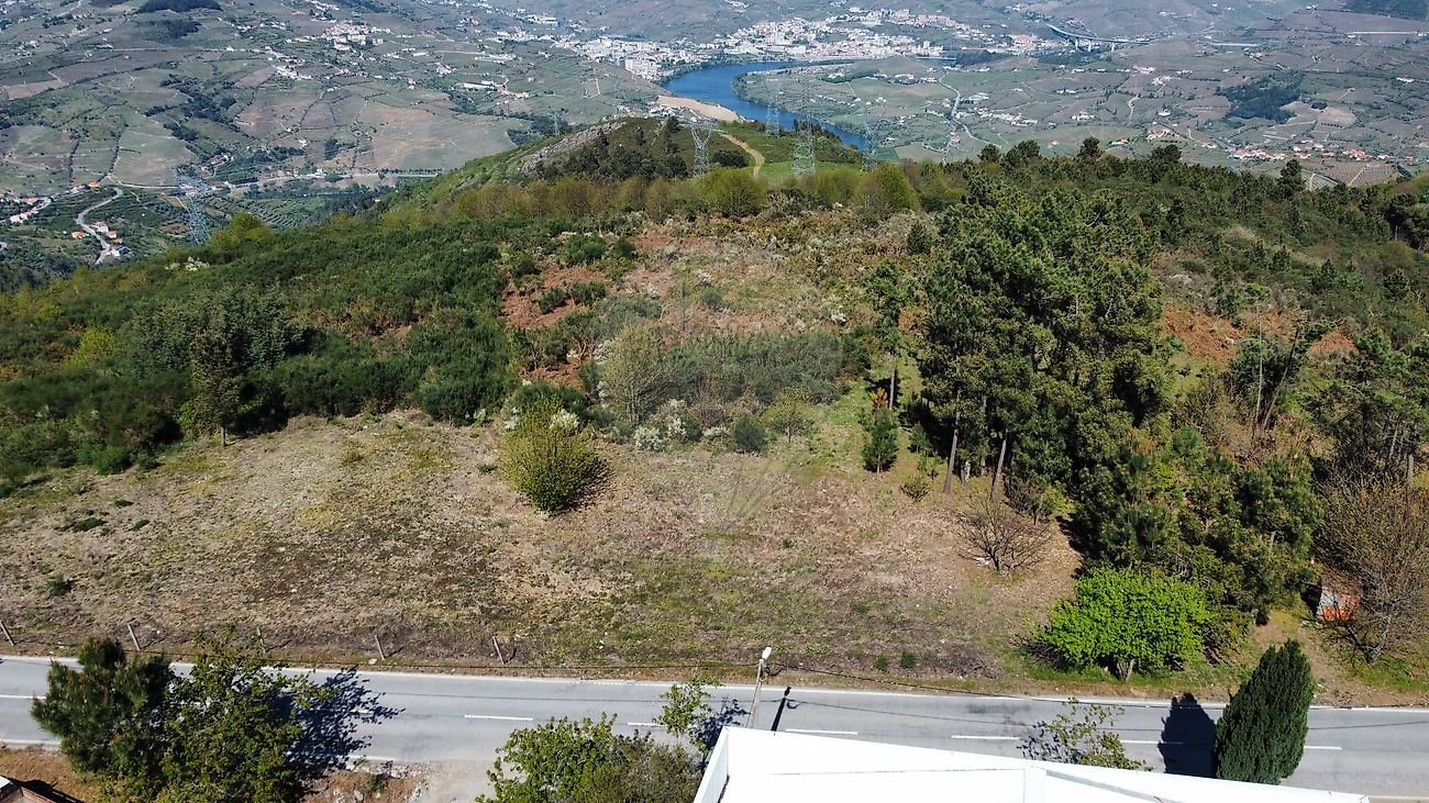 Terreno - Avões, Lamego, Viseu