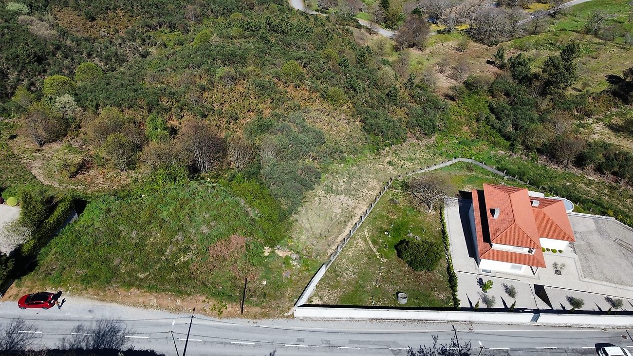 Terreno - Avões, Lamego, Viseu