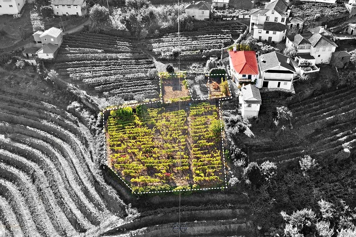 Moradia - Medrões, Santa Marta de Penaguião, Vila Real