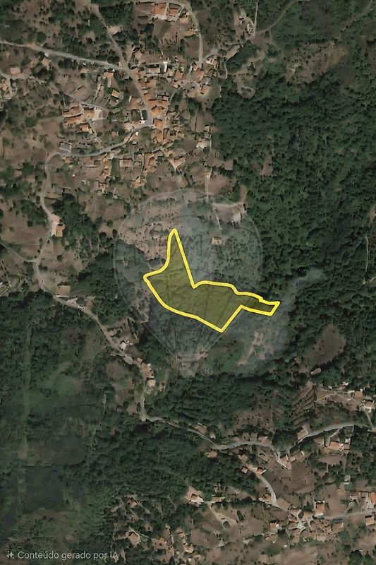 Terreno - Avões, Lamego, Viseu