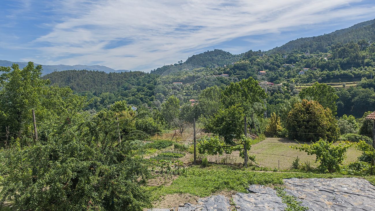 Moradia T4 à venda em Souto, Terras de Bouro — foto 37