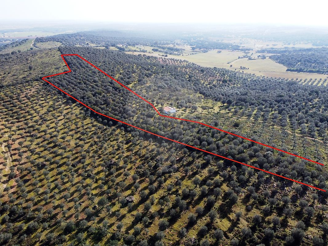 Terreno para venda