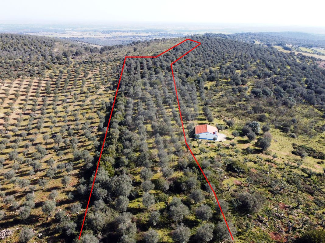 Terreno para venda
