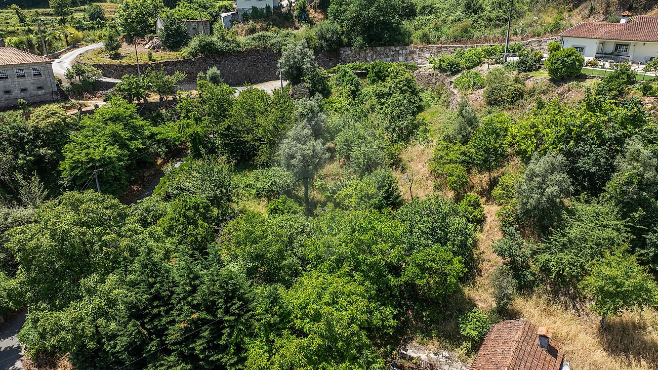 Moradia T4 à venda em Ribas, Celorico de Basto — foto 26