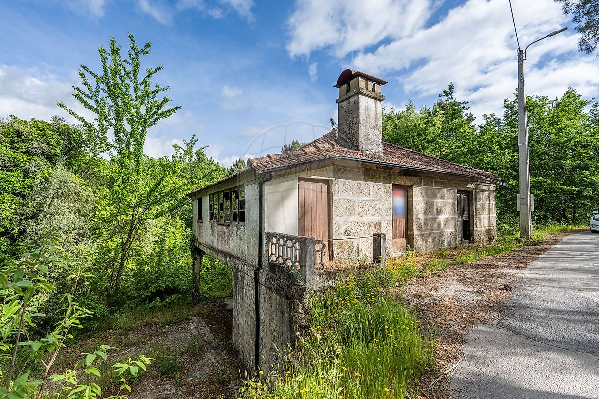 Quinta - Vale de Bouro, Celorico de Basto, Braga