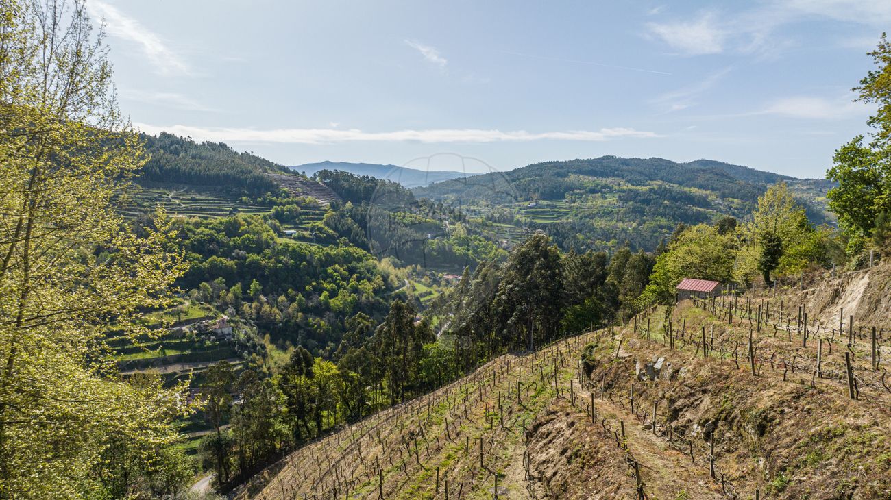 Terreno para venda