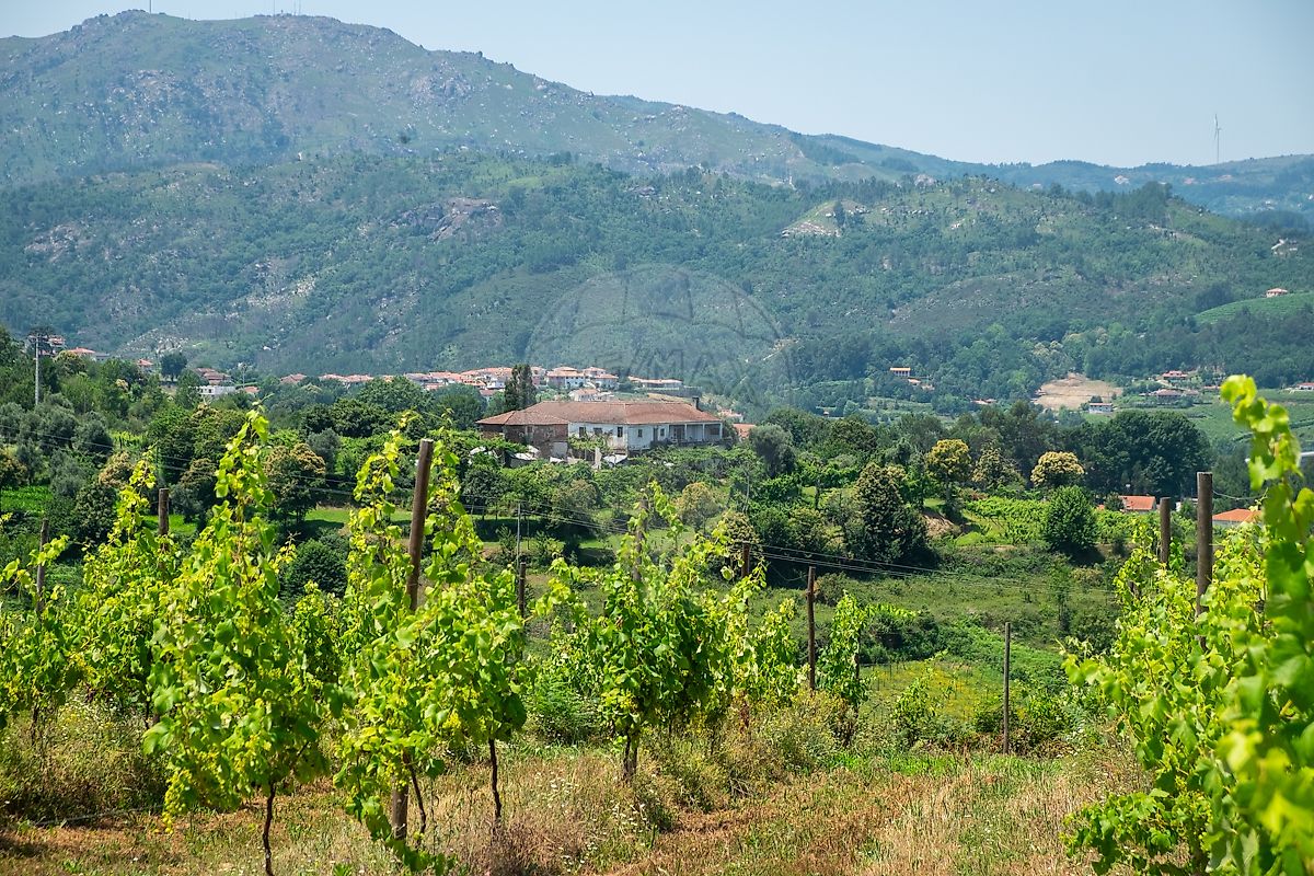 Quinta para venda