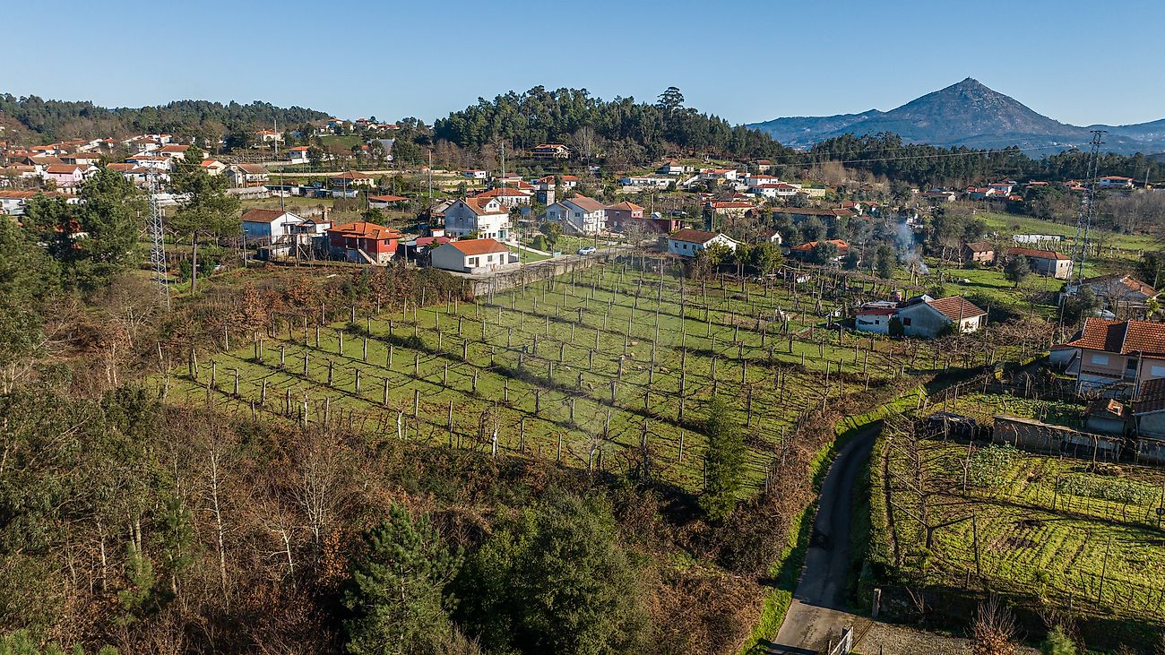 Terreno à venda em Celorico de Basto