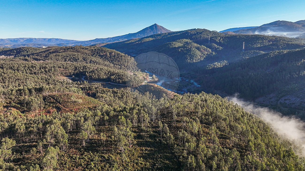 Terreno  à venda em Celorico de Basto