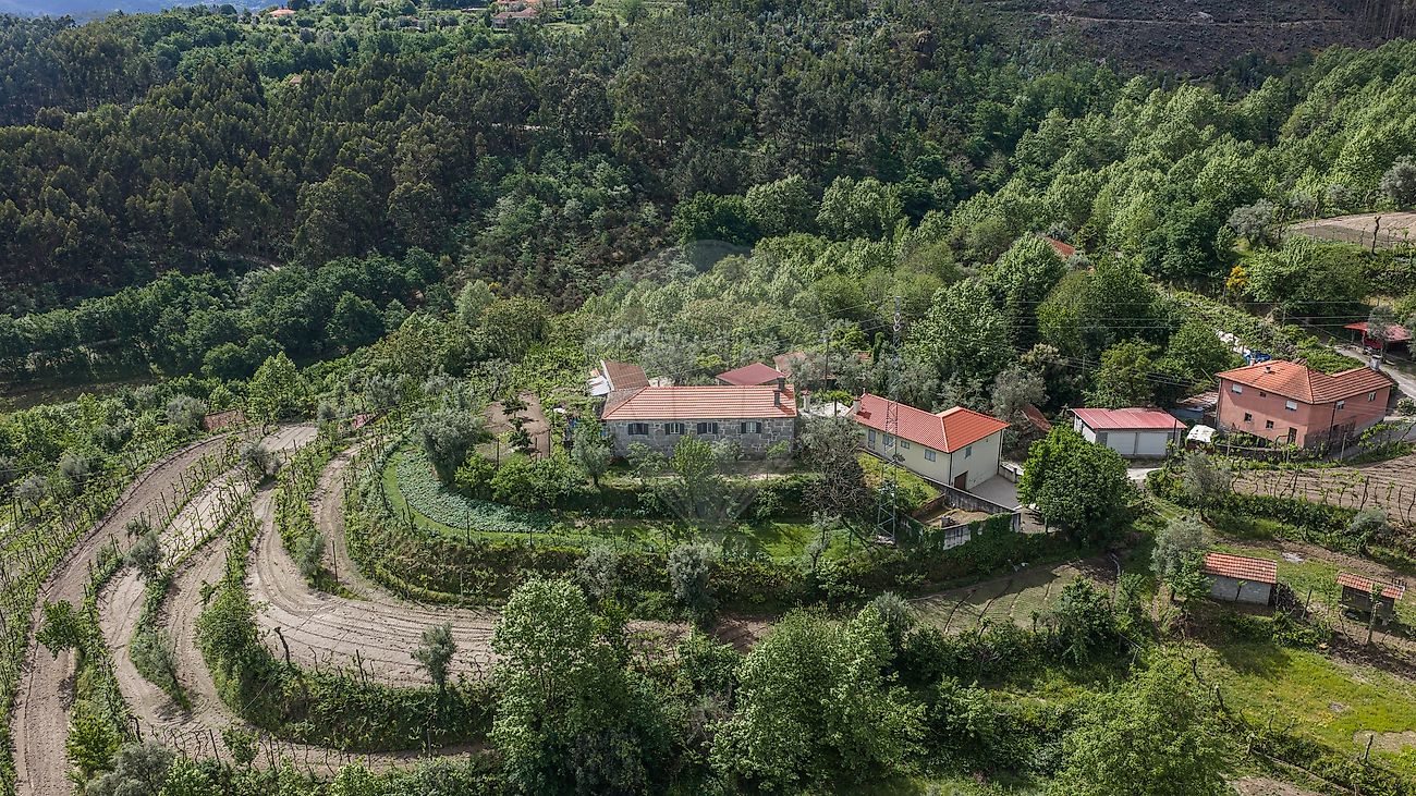 Quinta - Arnoia, Celorico de Basto, Braga