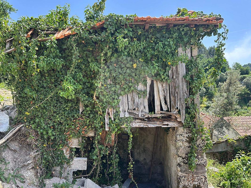 Moradia T0 à venda em Fervença, Celorico de Basto — foto 23